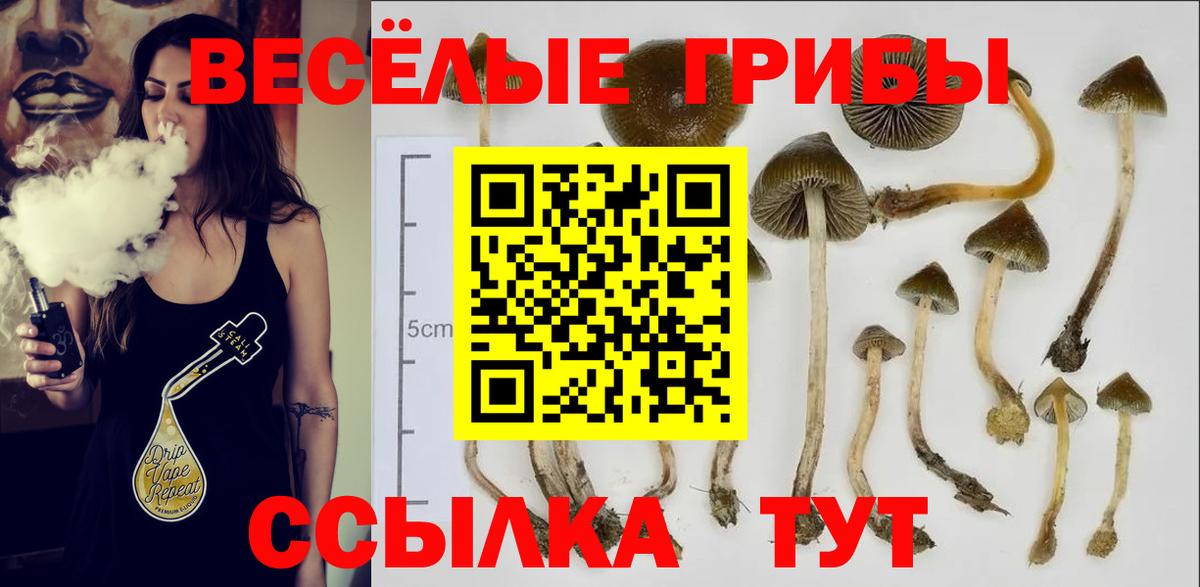Златоуст  Галлюциногенные грибы MAGIC MUSHROOMS  Вход с VPN 
