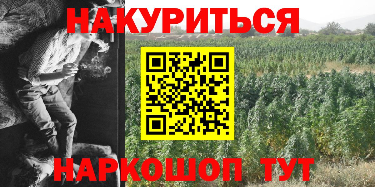 Каннабис Amnesia  Вход с VPN  Златоуст  Бошки Шишки THC 21%  Бошки марихуана OG Kush 